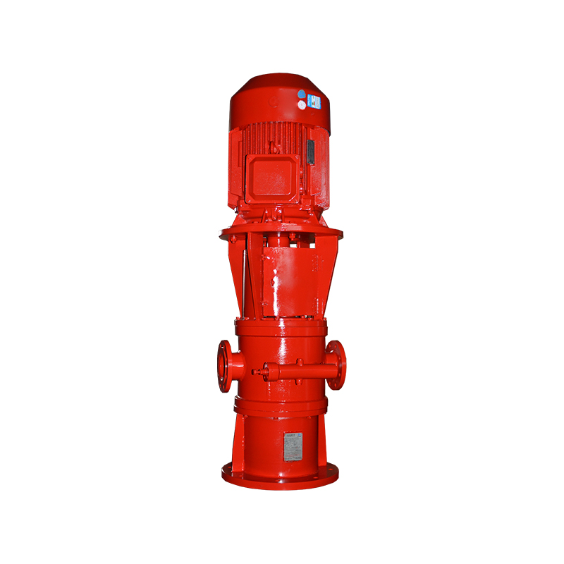 Vertical Didymus stupra Pump